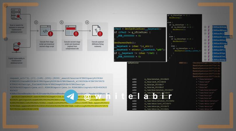 ◻️ حمله‌های چند‌مرحله‌ای که با قرار دادن یک بکدور می‌توانند پایگاه‌داده ElasticSearch را به ماشین‌های حملات DDoS تبدیل کنند ...