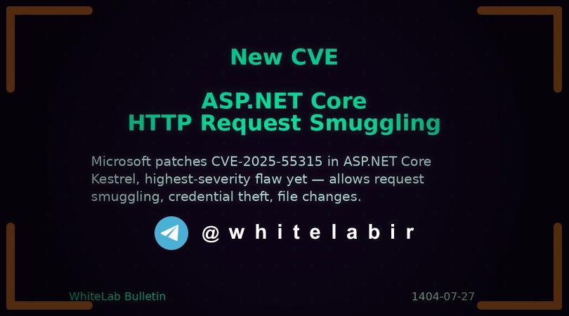 ⚠️ مایکروسافت نقص امنیتی با «بالاترین شدت» را در ASP.NET Core رفع کرد ...