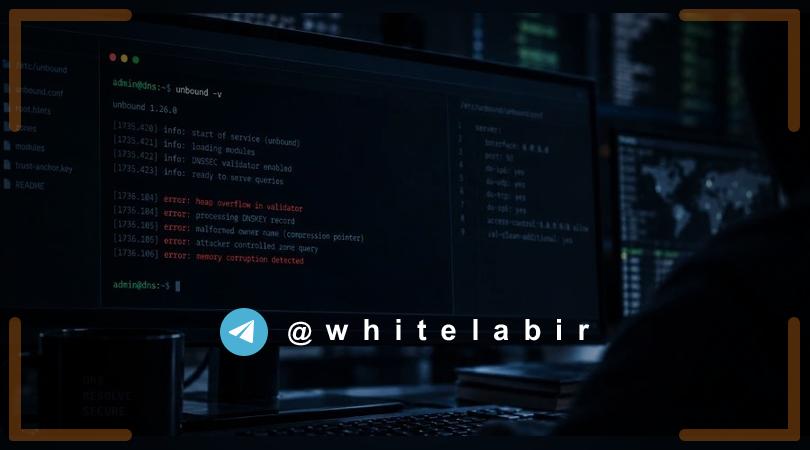🚨 آسیب‌پذیری‌های بحرانی در Unbound DNS resolver