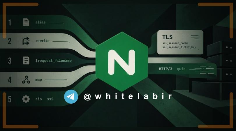 🚨 آسیب‌پذیری‌های متعدد در NGINX 