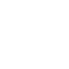  خط مشی آزمایشگاه امنیت وایت لب